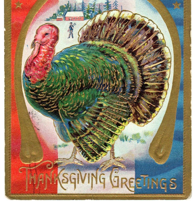 Thanksgiving Greetings Turkey: ChipmunkCards.com Free Greeting Cards ...